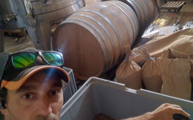 Les vendanges en vert c’est la vie !