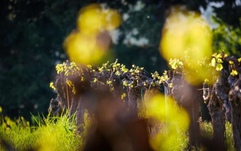 Suivez nous sur Instagram